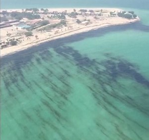 249K views · 1.1K reactions | Kuwait is battling a 5,000-ton oil spill. | Business Insider | Facebook