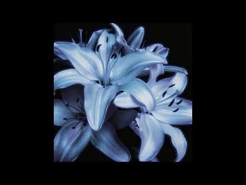 drowning love remix | dark trap beat