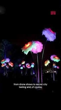 POV: You found the best holiday lights in SF