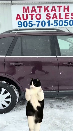 2011 Ford Edge AWD. $5,795.00 plus HST. Matkath Auto Sales Dunnville Ontario. 905-701-5050