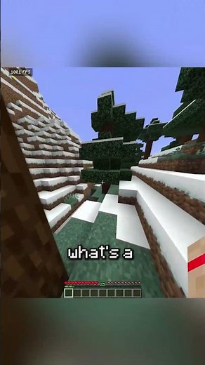 Minecraft First To Touch The Item Challenge