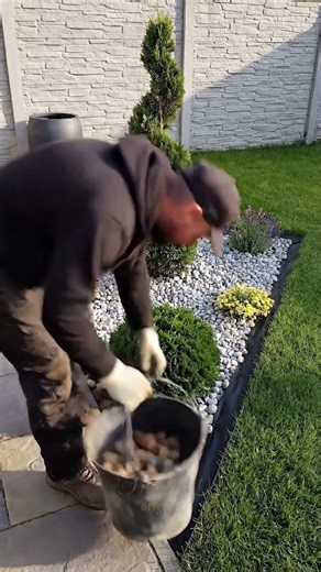 From Empty Patch to Luxury Outdoor Feature in One Smooth Build