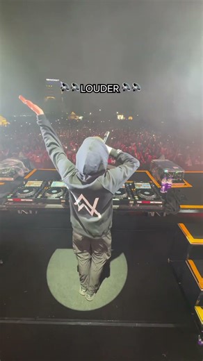 Alan Walker show at Sunburn Fastval in India