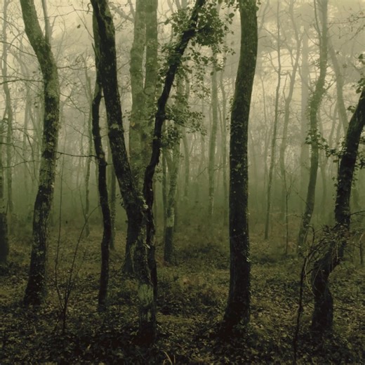 4.8K views · 19 reactions | Battle Pirates on Reels | Facebook