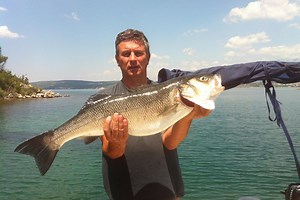 Jesenski brancini: donosimo savjete za lov proždrljivog predatora panulom i spinningom