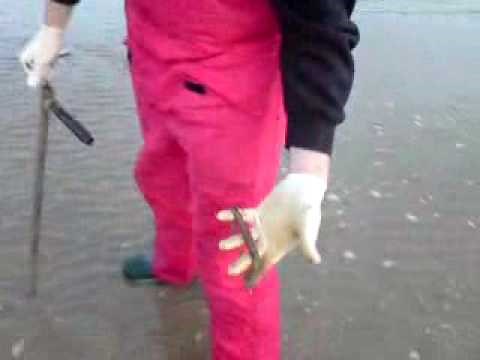 lug pumping with bait pump Nr eastbourne.