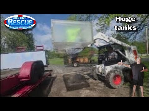 Finally getting the trailer home and unloading it Part 2 