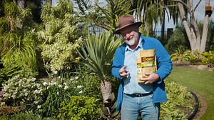 Neville (Garden Gurus) shows us how to have a blooming garden this spring with the Seasol plus Nutrients range. It’s a combination of pelletised, compost, seaweed and organic matter, with fast-acting nutrients as well as trace elements. 🌷🍊 Seasol plus Nutrients has three formulations that cover all plants, lawns and soils in the garden. 1. Seasol plus Nutrients All Purpose including Natives. If you have a small garden, go for the All Purposes including Natives. Apply it all around the garden, 