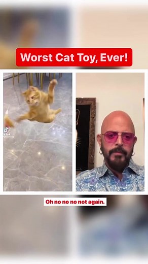 This cat toy is TORTURE! #Cats #CatToys #Reaction #JacksonGalaxy #Cats...