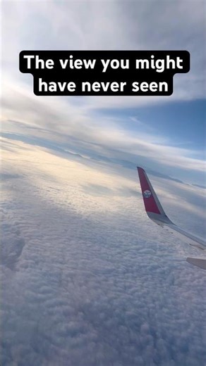 The view you must see before you die☺️ #views #shorts #flight #love #viral