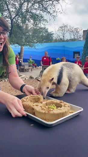 Happy Birthday Hogan: The Ultimate Party Animal Celebration