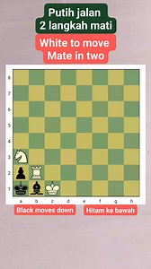 #fyp #chesspuzzle #chesspuzzle #chessproblem #problemcatur #problemadeajedrez | Chess Puzzle