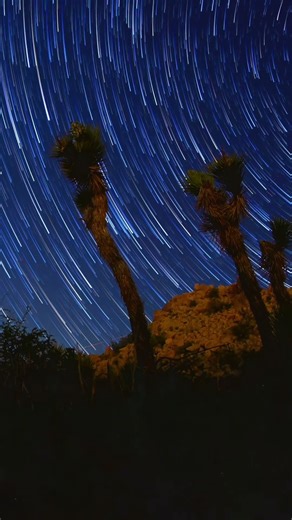 Starshower Over Joshua Tree 🌌✨ Desert Skies in Motion #timelapse #nightsky #startrails