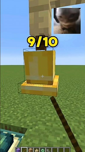 Cat Song with Minecraft Sounds😌 #Shorts #viral #minecraft