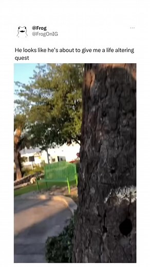 Frog house 🐸 #frogmeme #froggo #froggy #frogreel #froglover #frog | Frog Community