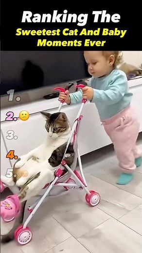 Ranking The Sweetest Cat And Baby Moments Ever 🥹🐱👶 | PawRank