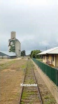 The railway lines across the Mallee to the Murray in South Australia. #railways #southaustralia #SAR