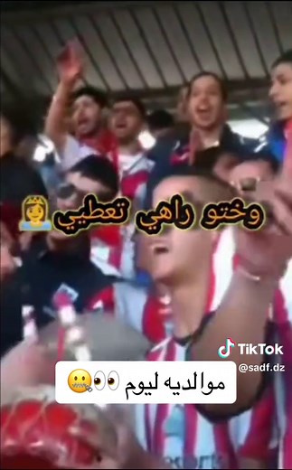 saDF DZ sur TikTok