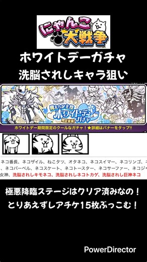 【にゃんこ大戦争】ホワイトデーガチャ_洗脳されしキャラ狙い！どれでもいいからキテ〜 #shorts #にゃんこ大戦争 #ガチャ