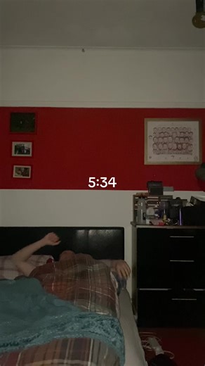 A Day in the Life of a Working Boxer