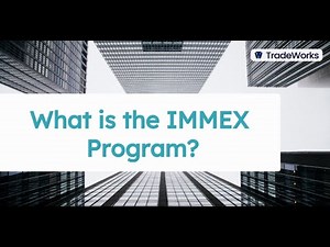 What is the IMMEX Program?