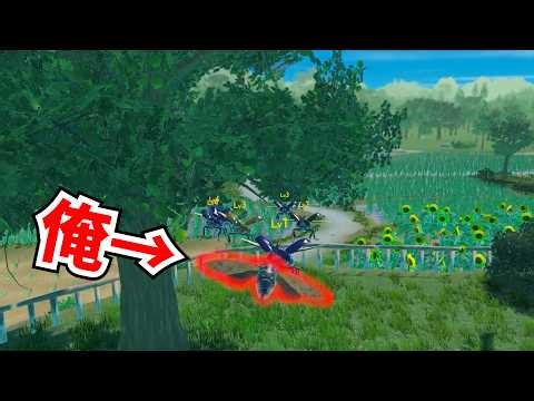 Become a cicada and aim to become the king of insects [How do cicadas live?]