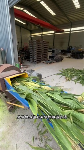 Superfine grass mill machine #grassmill #haymill #forage #grass #grasscutter