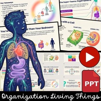 Introduction to Cells Grades 6,7,8 | Cells to Organism | Levels of Organization