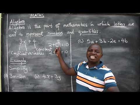 MATHS INTRODUCTION TO ALGEBRA