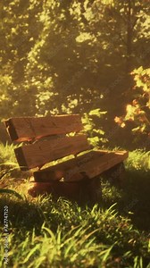 A park bench sitting under different types of trees and bushes around the bench