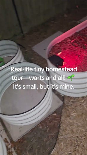 Proof that you don't need acres to start a homestead! 🤏