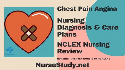 Angina Nursing Diagnosis & Care Plan - NurseStudy.Net
