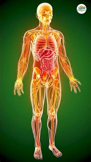 The exact moment cold water hits, your body changes #physiologyexplained #coldshower #science
