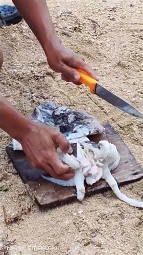 Amazing Octopus Cleaning Skills! 🐙🔪 | Satisfying Seafood Preparation