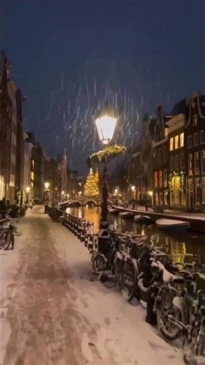Amsterdam night silent cool snow
