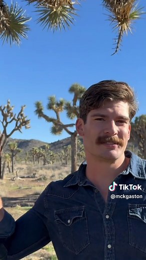 Exploring Joshua Tree National Park's Unique Flora