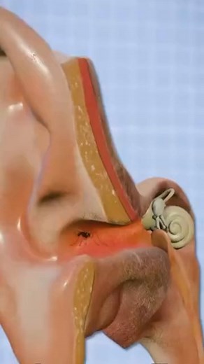 3.8K views | Struggling to hear clearly? 僚 Try an online hearing test today! Early detection is key. Take the first step toward better hearing today. | Health Insights | Facebook