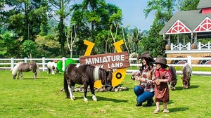4 Koleksi Hewan Terfavorit di Cimory Dairyland Puncak, Jarang Dijumpai di Tempat Wisata Lain - Tribun Travel