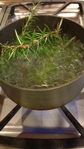 Faites bouillir le romarin pendant 10 minutes, ce qui se passe résoudra un gros problème | Secrets de Jardinage et Bricolage
