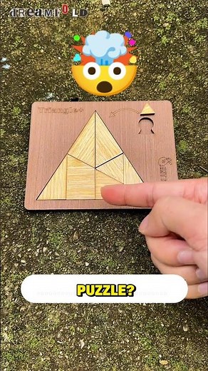 Can You Solve This Puzzle