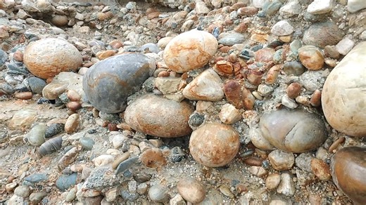 The stones in the cliffs | New Zealand Rock hound, My Rock Tumbling Journey