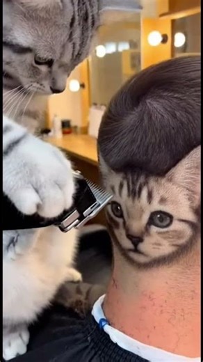✂️ This Cat Just Gave the Craziest Haircut Ever 😱🐱