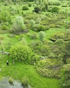 549K views · 10K reactions | Explore Our New Inflatable Tent with 2 Rooms and a Hall – Camping Adventure! #bushcraft #survival #adventure #wilderness #camping | Camping Vibe | Facebook