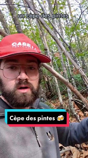 Découverte hilarante en forêt : un cèpe exceptionnel !