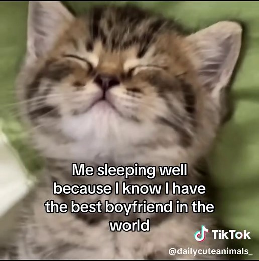 Cute and Funny Videos to Send Your Boyfriend
