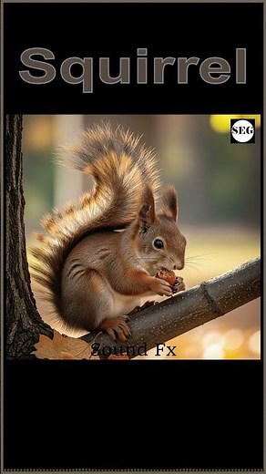 Squirrel Sound FX - Nature's Playful Chatter!