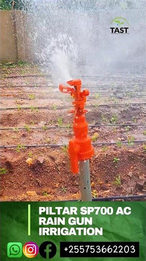 sprinkler spacing calculation piltar sp700 ac Rain gun irrigation#trending#tast#irrigation#tanzania