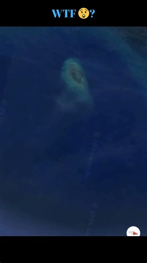 What we have here? #googleearthfinds #fy #googleearth #mystery #reels #fyp #shorts