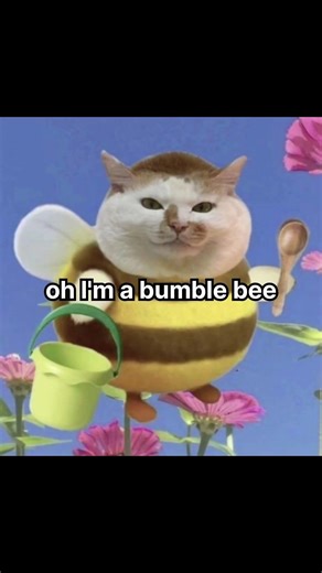 I'm a bumble bee, full version #youtubeshorts#cat#funny#memes#catmemes#shorts#fyp