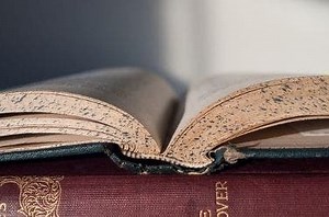 Guilford's Sandy Ruoff Appointed to State Library Board